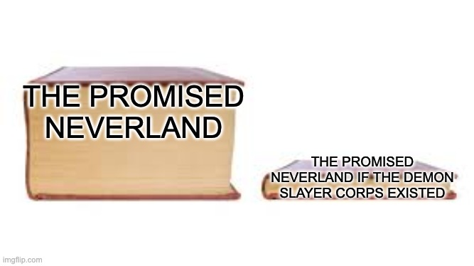 Big book small book | THE PROMISED NEVERLAND; THE PROMISED NEVERLAND IF THE DEMON SLAYER CORPS EXISTED | image tagged in big book small book | made w/ Imgflip meme maker