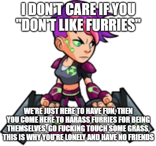 IDC if you ''don't like furries'' Blank Meme Template