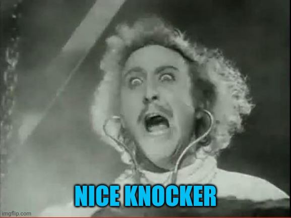 Young Frankenstein | NICE KNOCKER | image tagged in young frankenstein | made w/ Imgflip meme maker