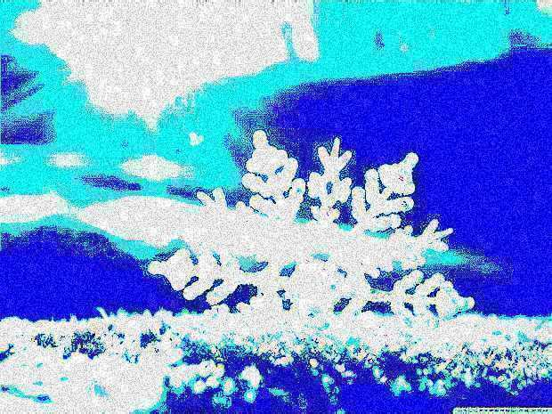 High Quality Deepfried snowflake mee Blank Meme Template