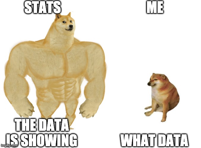 Big dog small dog | STATS; ME; WHAT DATA; THE DATA IS SHOWING | image tagged in big dog small dog | made w/ Imgflip meme maker
