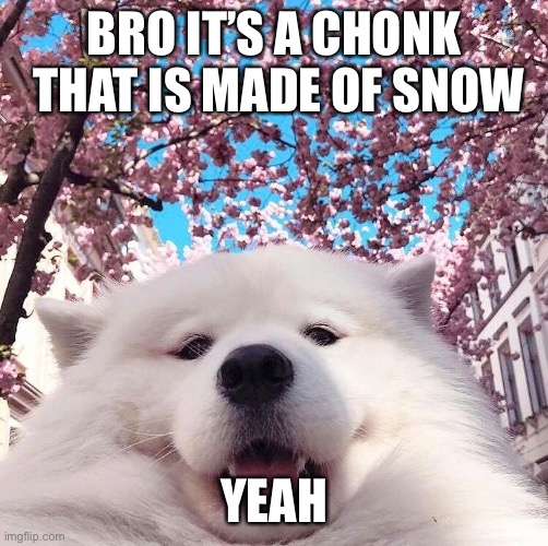 chonker | BRO IT’S A CHONK  THAT IS MADE OF SNOW; YEAH | image tagged in chonker | made w/ Imgflip meme maker
