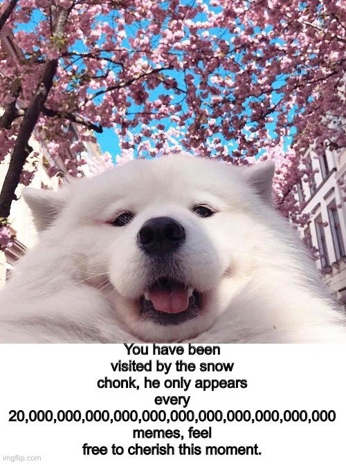chonker | You have been visited by the snow chonk, he only appears every 20,000,000,000,000,000,000,000,000,000,000,000 memes, feel free to cherish this moment. | image tagged in chonker | made w/ Imgflip meme maker