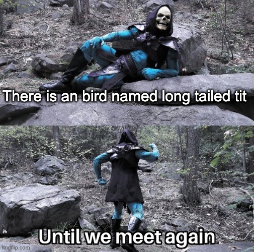 What? Why is everybody looking disgusted? | There is an bird named long tailed tit | image tagged in skeletor rtx | made w/ Imgflip meme maker