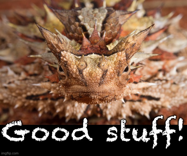 Good stuff! | made w/ Imgflip meme maker