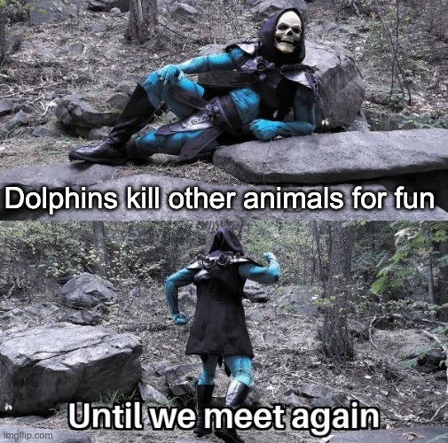 Skeletor RTX | Dolphins kill other animals for fun | image tagged in skeletor rtx | made w/ Imgflip meme maker