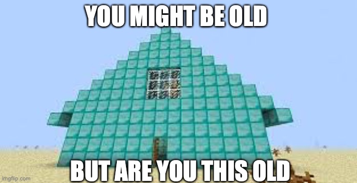 this was my house back in 2013 | YOU MIGHT BE OLD; BUT ARE YOU THIS OLD | image tagged in minecraft,house | made w/ Imgflip meme maker