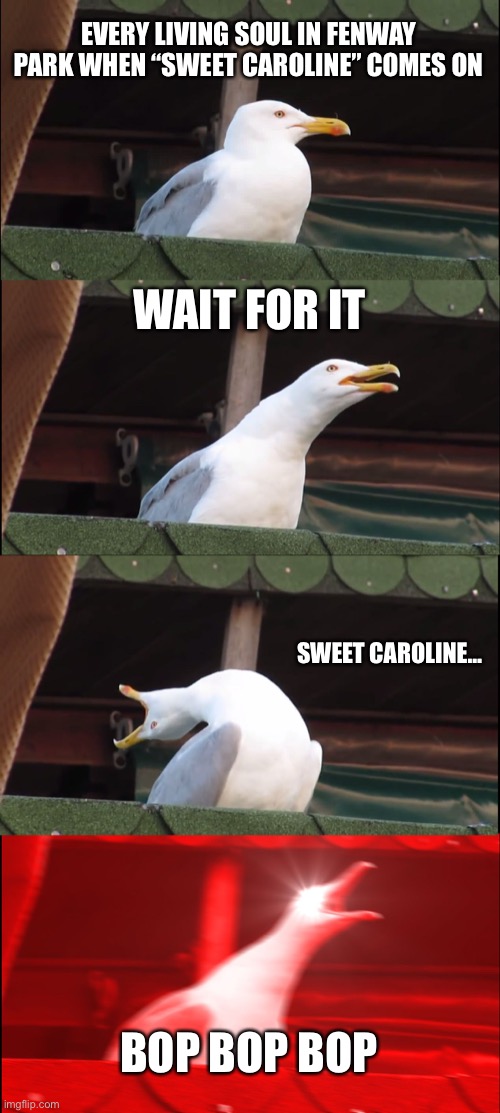 I know from experience | EVERY LIVING SOUL IN FENWAY PARK WHEN “SWEET CAROLINE” COMES ON; WAIT FOR IT; SWEET CAROLINE…; BOP BOP BOP | image tagged in memes,inhaling seagull | made w/ Imgflip meme maker