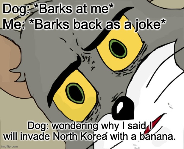 Whish I knew dog language | Dog: *Barks at me*; Me: *Barks back as a joke*; Dog: wondering why I said I will invade North Korea with a banana. | image tagged in memes,unsettled tom | made w/ Imgflip meme maker