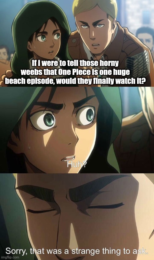 So i started watching One Piece about a month ago and god im loving it so far | If i were to tell those horny weebs that One Piece is one huge beach episode, would they finally watch it? | image tagged in erwin meme,one piece,attack on titan | made w/ Imgflip meme maker