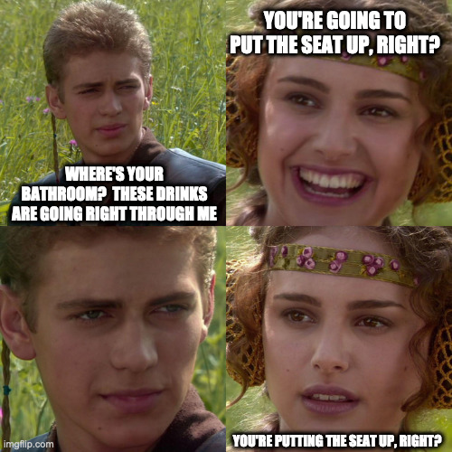 anakin go 1 | YOU'RE GOING TO PUT THE SEAT UP, RIGHT? WHERE'S YOUR BATHROOM?  THESE DRINKS ARE GOING RIGHT THROUGH ME; YOU'RE PUTTING THE SEAT UP, RIGHT? | image tagged in anakin padme 4 panel | made w/ Imgflip meme maker
