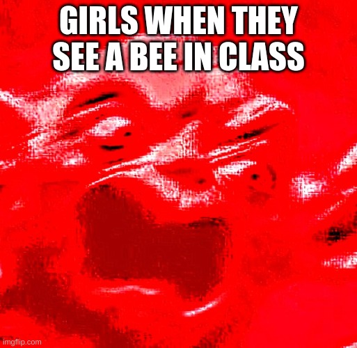 VERY LOUD SCREAMING | GIRLS WHEN THEY SEE A BEE IN CLASS | image tagged in very loud screaming | made w/ Imgflip meme maker