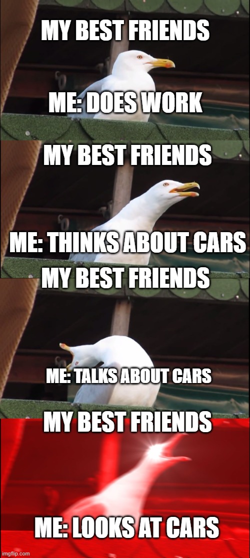 Inhaling Seagull | MY BEST FRIENDS; ME: DOES WORK; MY BEST FRIENDS; ME: THINKS ABOUT CARS; MY BEST FRIENDS; ME: TALKS ABOUT CARS; MY BEST FRIENDS; ME: LOOKS AT CARS | image tagged in memes,inhaling seagull | made w/ Imgflip meme maker