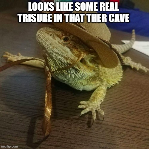 Indiana Bearded Dragon | LOOKS LIKE SOME REAL TRISURE IN THAT THER CAVE | image tagged in indiana bearded dragon | made w/ Imgflip meme maker