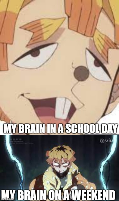 relatable anyone? | MY BRAIN IN A SCHOOL DAY; MY BRAIN ON A WEEKEND | image tagged in zenitsu | made w/ Imgflip meme maker