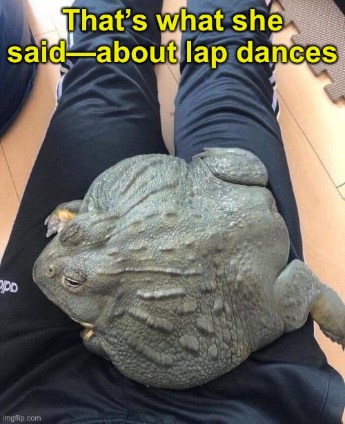 That’s what she said—about lap dances | made w/ Imgflip meme maker