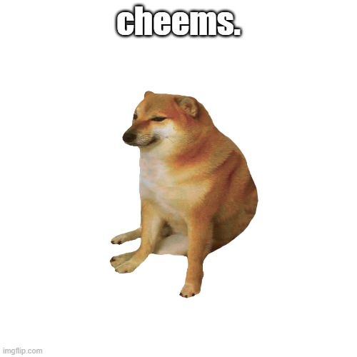 cheems. | cheems. | image tagged in dogs,doge | made w/ Imgflip meme maker