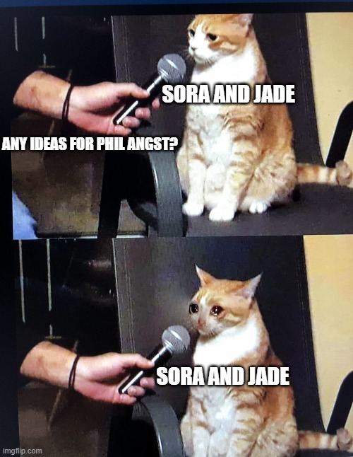 me and mah friend go brrrr on fanfic | SORA AND JADE; ANY IDEAS FOR PHIL ANGST? SORA AND JADE | image tagged in cat interview crying | made w/ Imgflip meme maker