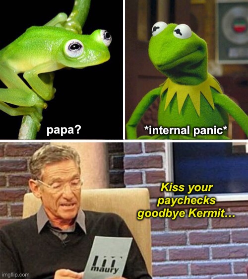 Froggy Daddy | papa? *internal panic*; Kiss your paychecks goodbye Kermit… | image tagged in funny memes,kermit the frog | made w/ Imgflip meme maker