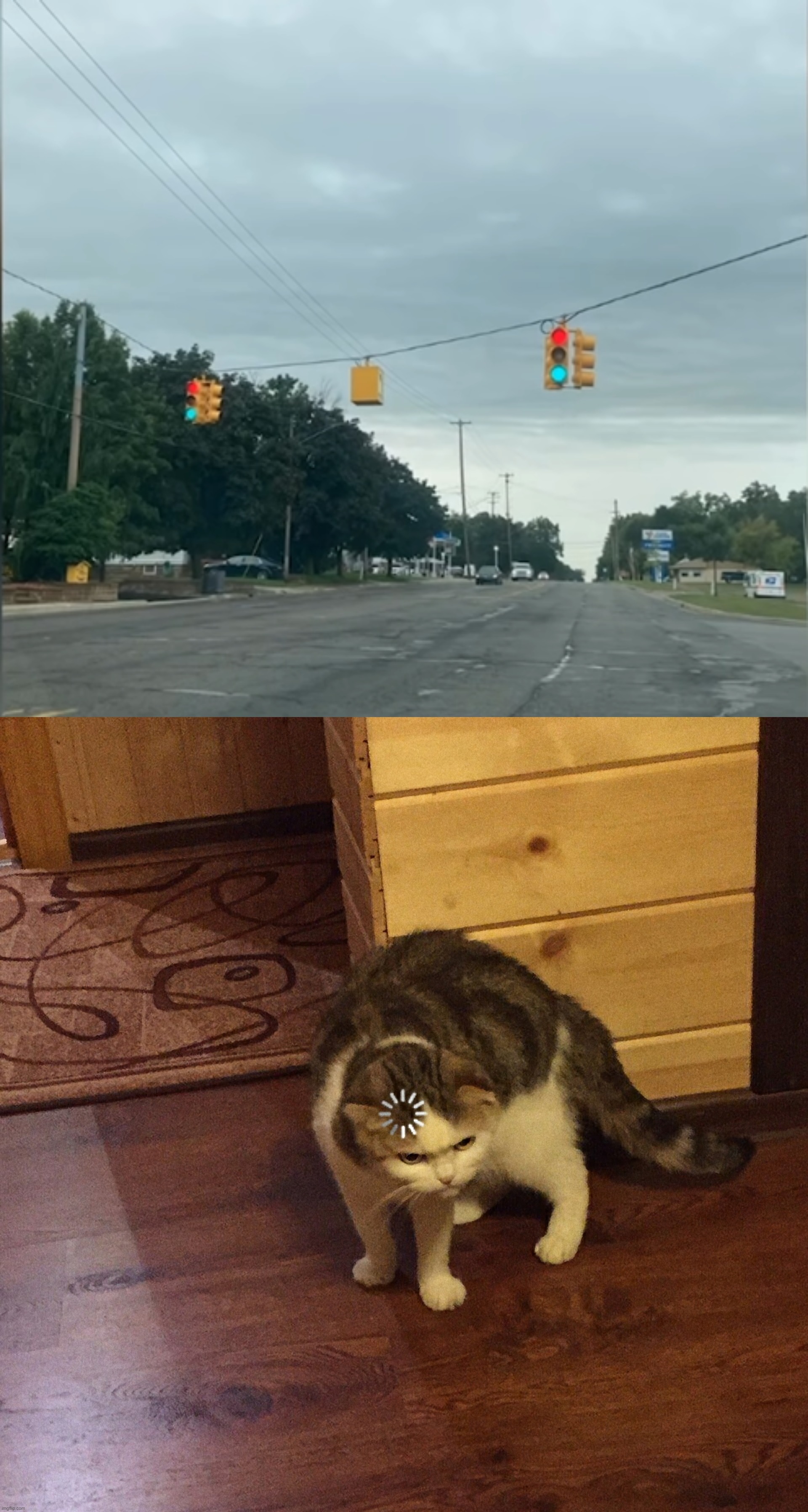 image tagged in buffering cat | made w/ Imgflip meme maker