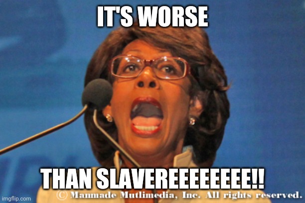 Maxine waters | IT'S WORSE THAN SLAVEREEEEEEEE!! | image tagged in maxine waters | made w/ Imgflip meme maker