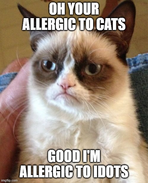 Grumpy Cat | OH YOUR ALLERGIC TO CATS; GOOD I'M ALLERGIC TO IDOTS | image tagged in memes,grumpy cat | made w/ Imgflip meme maker