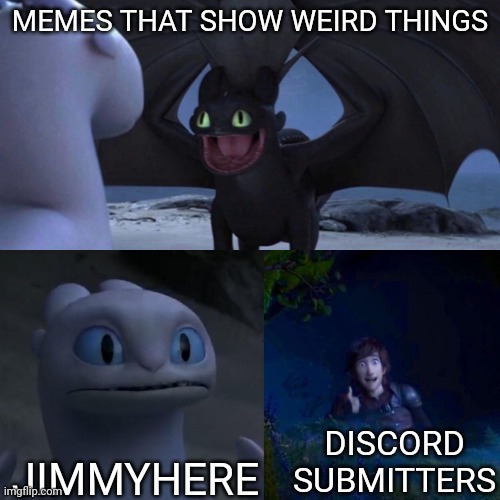 True or false | MEMES THAT SHOW WEIRD THINGS; JIMMYHERE; DISCORD SUBMITTERS | image tagged in night fury | made w/ Imgflip meme maker