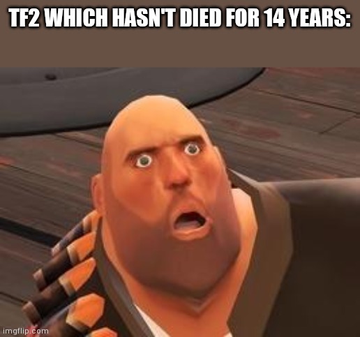 TF2 Heavy | TF2 WHICH HASN'T DIED FOR 14 YEARS: | image tagged in tf2 heavy | made w/ Imgflip meme maker