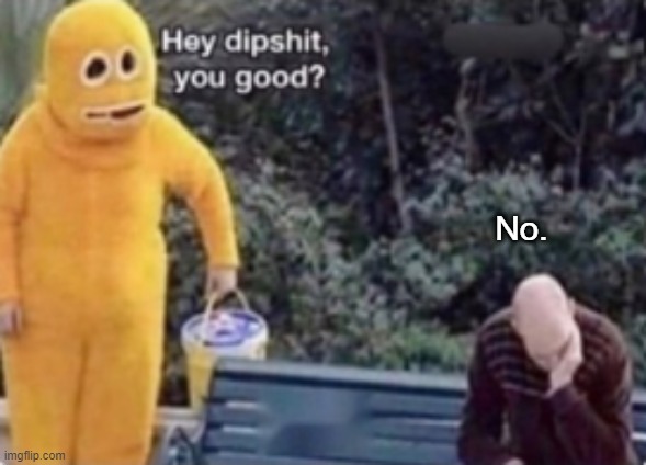 Hey dipshit you good? | No. | image tagged in hey dipshit you good | made w/ Imgflip meme maker