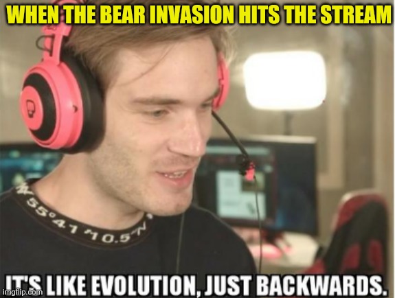 it's like evolution,just backwards | WHEN THE BEAR INVASION HITS THE STREAM | image tagged in it's like evolution just backwards | made w/ Imgflip meme maker