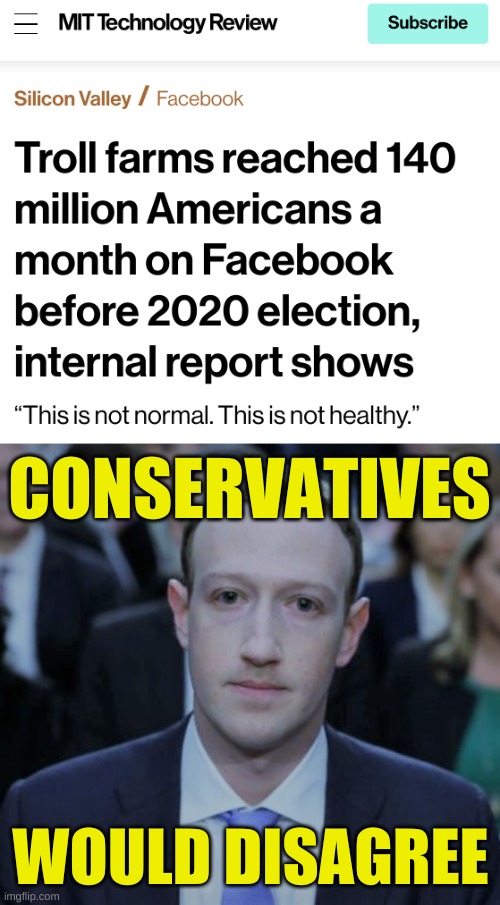 liberal lies | CONSERVATIVES; WOULD DISAGREE | image tagged in mark zuckerberg testifies,conservative hypocrisy,qanon,misinformation,facebook,troll farms | made w/ Imgflip meme maker