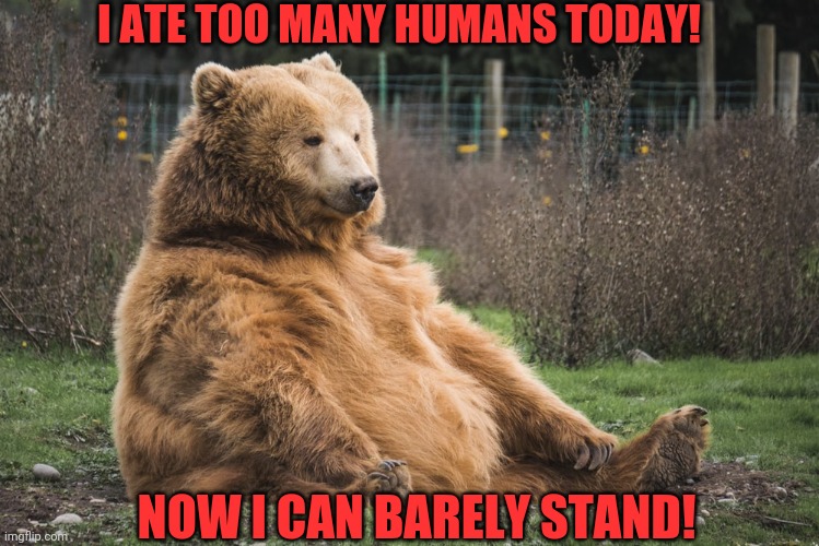 Bear puns | I ATE TOO MANY HUMANS TODAY! NOW I CAN BARELY STAND! | image tagged in bear,invasion,bad puns,roar | made w/ Imgflip meme maker