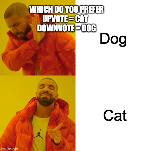 What Kind Of Person Are You | Dog; WHICH DO YOU PREFER
UPVOTE = CAT  
DOWNVOTE = DOG; Cat | image tagged in memes,drake hotline bling | made w/ Imgflip meme maker