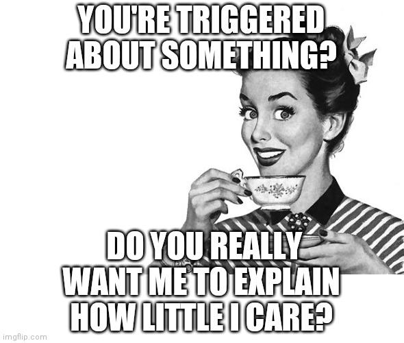 Empathy and sympathy are greatly over-rated | YOU'RE TRIGGERED ABOUT SOMETHING? DO YOU REALLY WANT ME TO EXPLAIN HOW LITTLE I CARE? | image tagged in 1950s housewife,triggered,see nobody cares,get over it | made w/ Imgflip meme maker