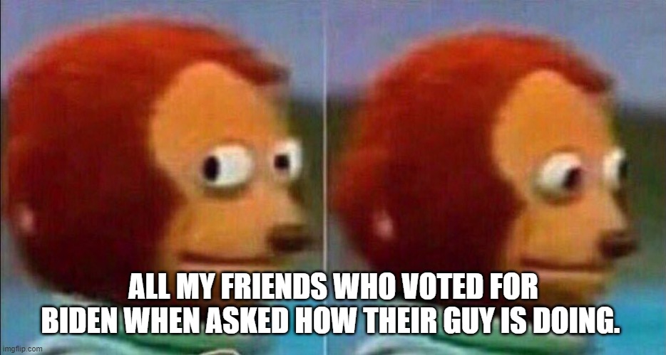 Voters Remorse | ALL MY FRIENDS WHO VOTED FOR BIDEN WHEN ASKED HOW THEIR GUY IS DOING. | image tagged in monkey looking away,biden voters | made w/ Imgflip meme maker