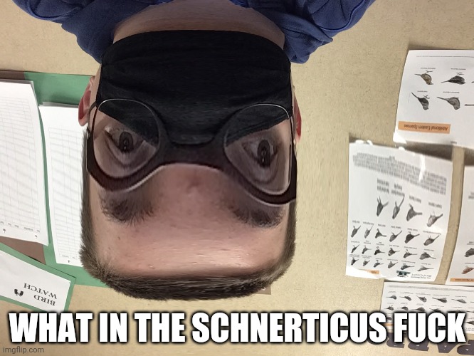 My life in a nutshell | WHAT IN THE SCHNERTICUS FUCK | image tagged in my life in a nutshell | made w/ Imgflip meme maker