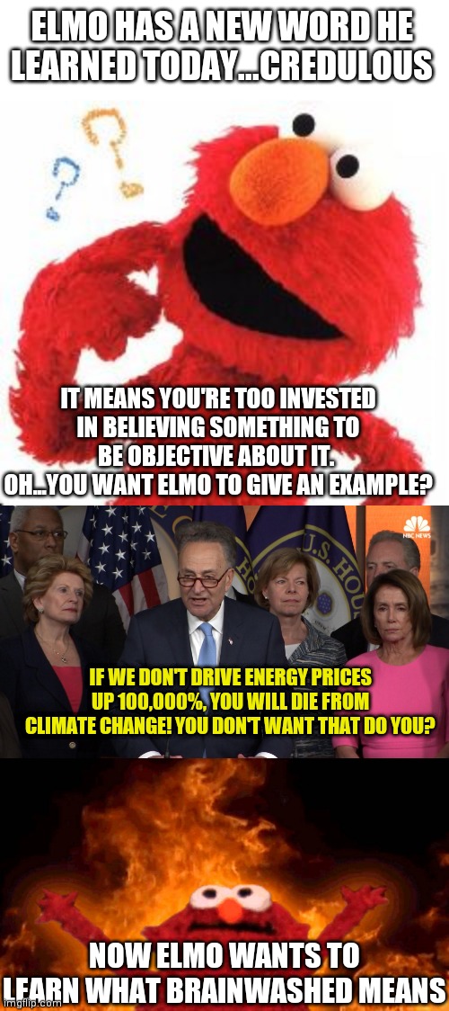 Believing in something does not make it true....tell em Elmo | ELMO HAS A NEW WORD HE LEARNED TODAY...CREDULOUS; IT MEANS YOU'RE TOO INVESTED IN BELIEVING SOMETHING TO BE OBJECTIVE ABOUT IT.  OH...YOU WANT ELMO TO GIVE AN EXAMPLE? IF WE DON'T DRIVE ENERGY PRICES UP 100,000%, YOU WILL DIE FROM CLIMATE CHANGE! YOU DON'T WANT THAT DO YOU? NOW ELMO WANTS TO LEARN WHAT BRAINWASHED MEANS | image tagged in elmo questions,democrat congressmen,elmo fire,belief,expectation vs reality | made w/ Imgflip meme maker