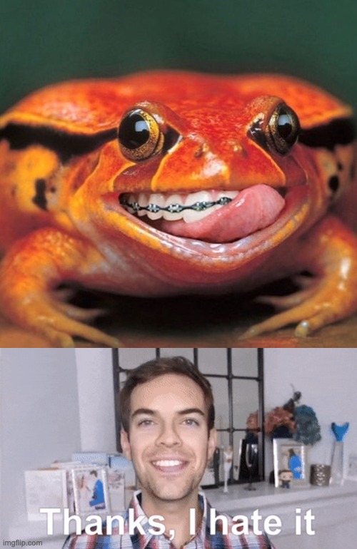 Burn it, the braces not the frog | image tagged in thanks i hate it,memes,unfunny | made w/ Imgflip meme maker