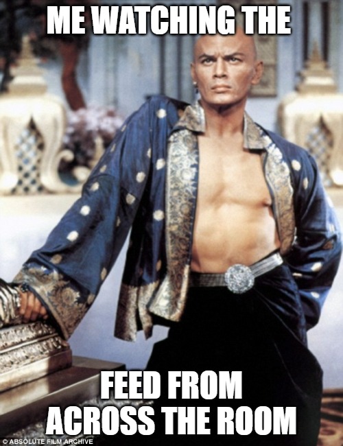 the man | ME WATCHING THE; FEED FROM ACROSS THE ROOM | image tagged in king siam thailand rama x | made w/ Imgflip meme maker