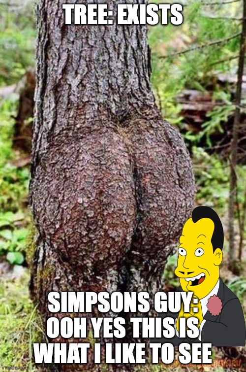 SEXY TREE | TREE: EXISTS; SIMPSONS GUY: OOH YES THIS IS WHAT I LIKE TO SEE | image tagged in sexy tree | made w/ Imgflip meme maker