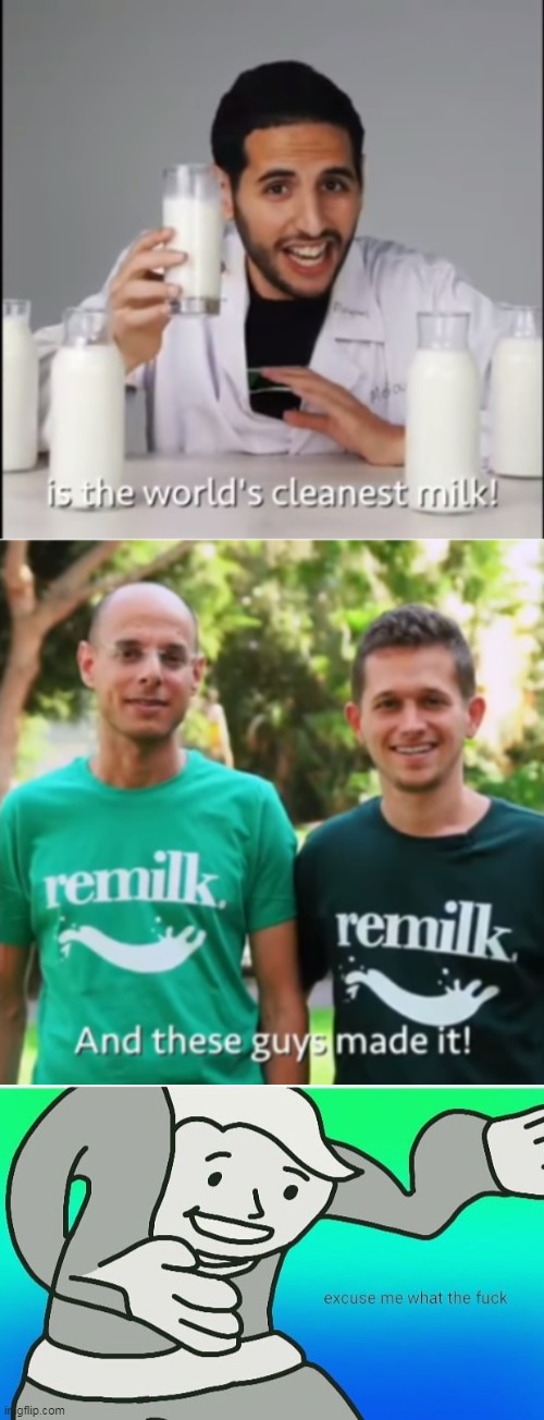 The what!!! | image tagged in fallout boy excuse me wyf,memes,excuse me what the fuck,funny,cursed | made w/ Imgflip meme maker