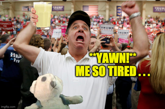 Trump Supporter Triggered | **YAWN!**
ME SO TIRED . . . | image tagged in trump supporter triggered | made w/ Imgflip meme maker