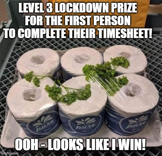 Lockdown timesheet reminder | LEVEL 3 LOCKDOWN PRIZE FOR THE FIRST PERSON TO COMPLETE THEIR TIMESHEET! OOH - LOOKS LIKE I WIN! | image tagged in lockdown timesheet reminder,timesheet meme,funny memes,loo rolls | made w/ Imgflip meme maker