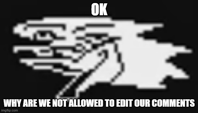 It's way too much to delete the comment, then retype it | OK; WHY ARE WE NOT ALLOWED TO EDIT OUR COMMENTS | image tagged in s | made w/ Imgflip meme maker