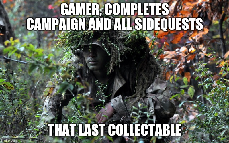 That one collectable | GAMER, COMPLETES CAMPAIGN AND ALL SIDEQUESTS; THAT LAST COLLECTABLE | image tagged in camouflage,collection,completion | made w/ Imgflip meme maker