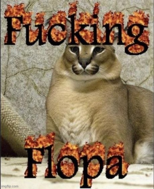 FLOPPA FLOPPA FLOPPA FLOPPA FLOPPA FLOPPA FLOPPA FLOPPA FLOPPA FLOPPA FLOPPA FLOPPA FLOPPA FLOPPA FLOPPA FLOPPA FLOPPA FLOPPA FL | image tagged in floppa floppa,floppa,flop,a | made w/ Imgflip meme maker