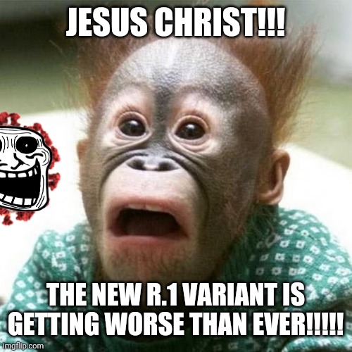 BOLLOCKS!!!!! |  JESUS CHRIST!!! THE NEW R.1 VARIANT IS GETTING WORSE THAN EVER!!!!! | image tagged in shocked monkey,coronavirus,covid-19,r1,variant,we're all doomed | made w/ Imgflip meme maker