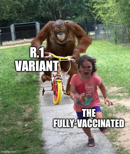 OK, here we go again. |  R.1 VARIANT; THE FULLY-VACCINATED | image tagged in orangutan chasing girl on a tricycle,r1,coronavirus,covid-19,covid,memes | made w/ Imgflip meme maker