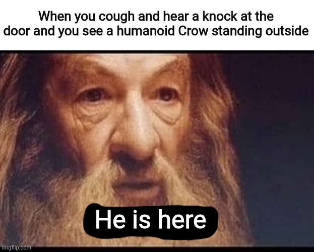 Ho no- | When you cough and hear a knock at the door and you see a humanoid Crow standing outside; He is here | image tagged in he is here | made w/ Imgflip meme maker