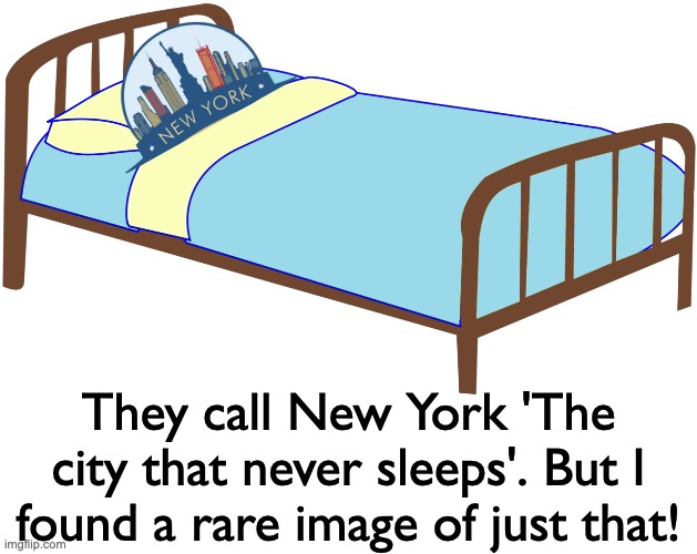 Rare image of New York City sleeping | They call New York 'The city that never sleeps'. But I found a rare image of just that! | image tagged in blank white template,memes,unfunny | made w/ Imgflip meme maker